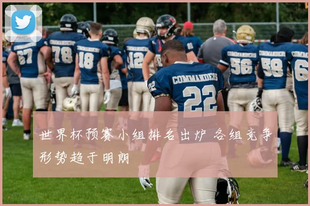 世界杯预赛小组排名出炉 各组竞争形势趋于明朗