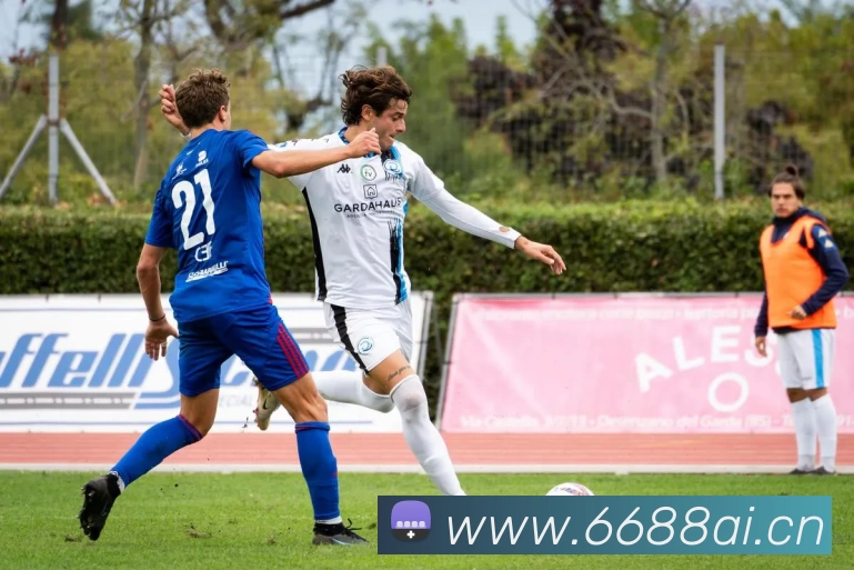 华体会hth·(体育)(中国)官方网站发展历程